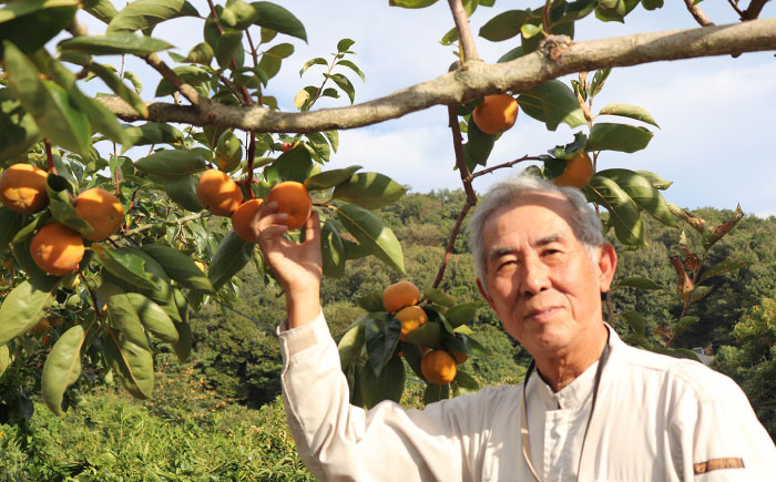 産地直送 果物 くだもの フルーツ かき 柿 富有柿 お取り寄せ 岐阜