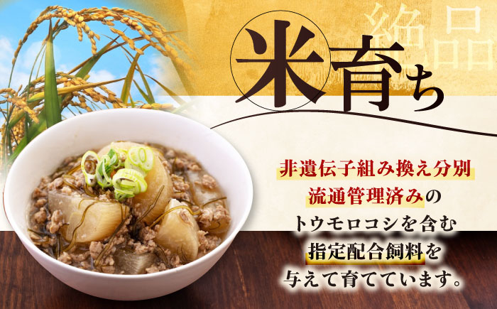 肉 豚肉 ブロック ステーキ ステーキ用 ロース ロースステーキ