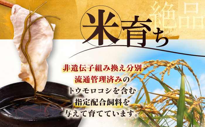 肉 豚肉 ロース ロース肉 セット しゃぶしゃぶ 鍋 お鍋 冷凍配送