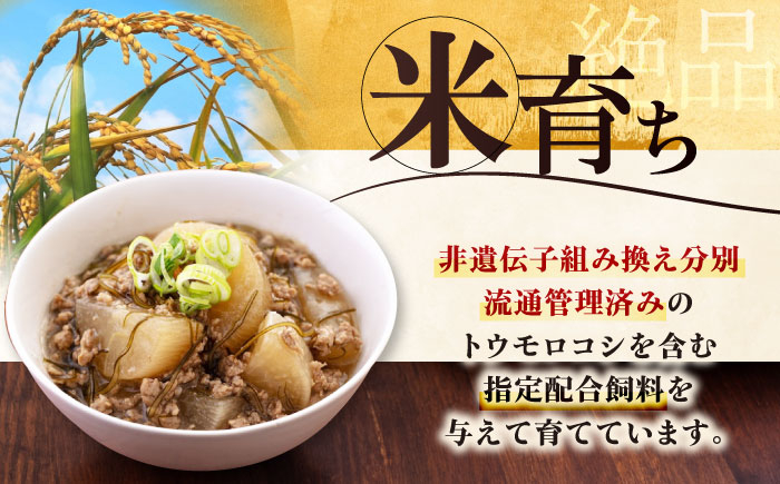 三元豚 ロースブロック600g・ひき肉300g 肉 豚肉 ブロック ステーキ ステーキ用