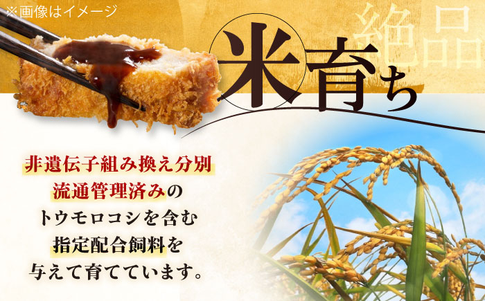 三元豚 ロースブロック600g 肉 豚肉 ロース ブロック ローストポーク 冷凍配送