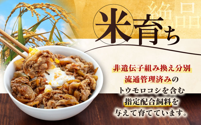三元豚 切り落とし 計1kg(500g×2パック) 肉 豚肉  冷凍配送 定期便