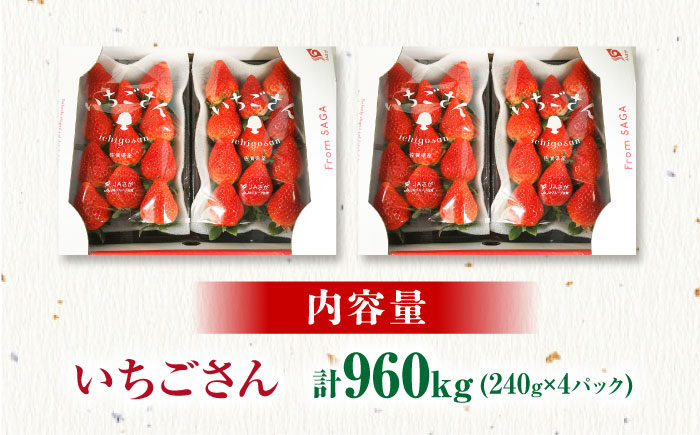 いちごさん 240g×4パック [HAM087] いちご 苺 イチゴ 佐賀県 果物 フルーツ いちごさん ブランド