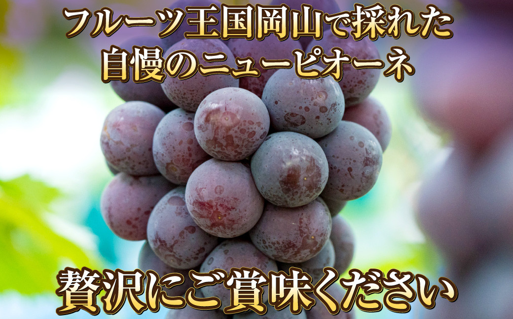 岡山県産 ニューピオーネ 1房 約700g
