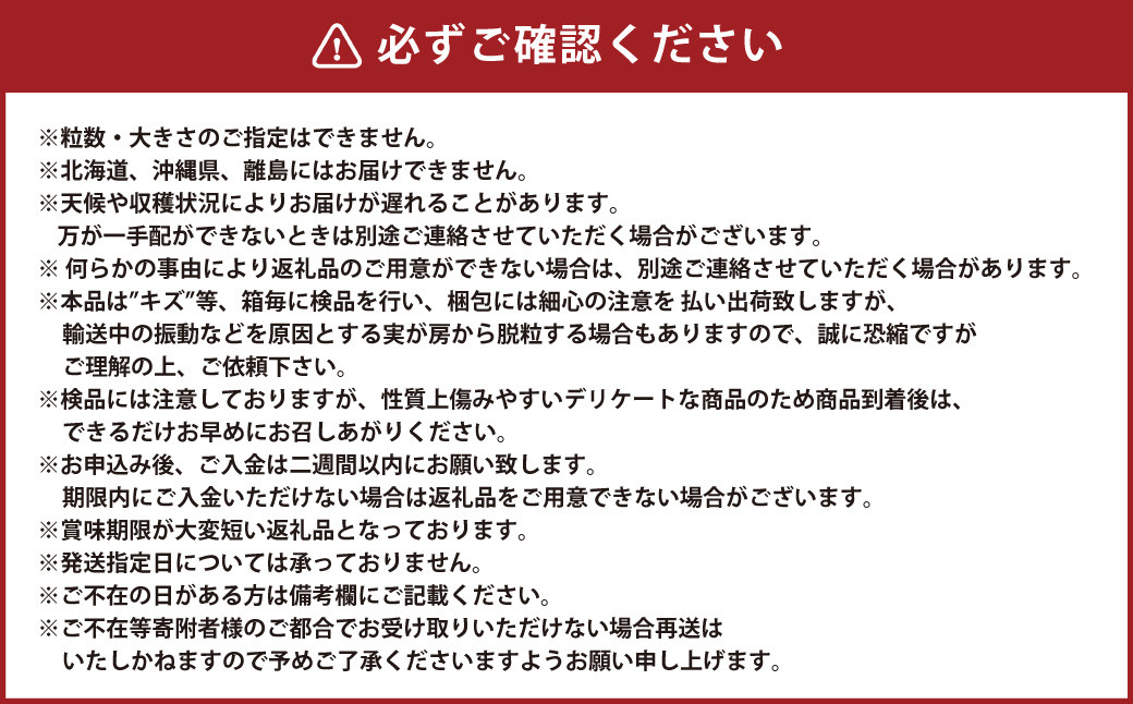 岡山県産 ニューピオーネ 1房 約700g