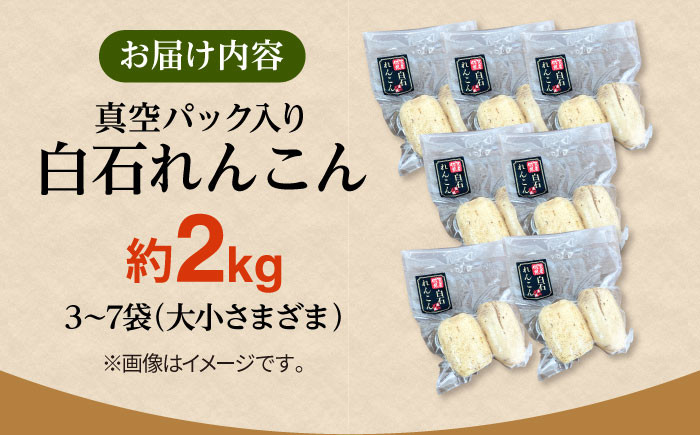 保存しやすい真空パック&便利な小分け入り!