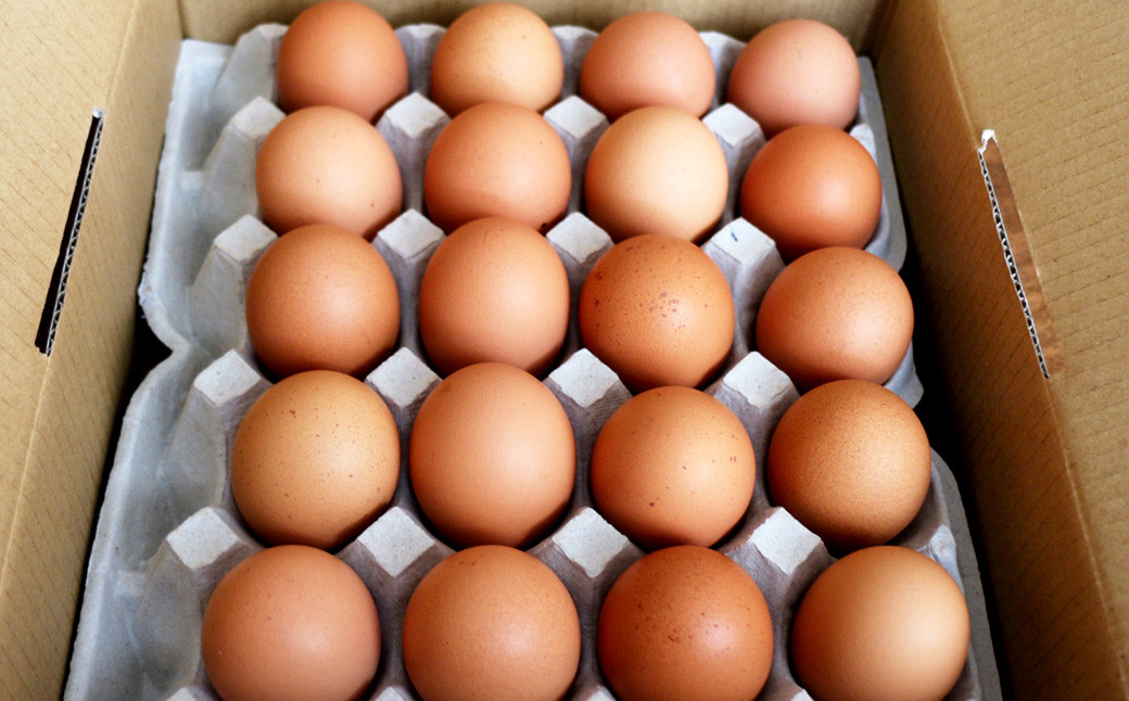 EMハーブ卵 20個 セット (内割れ保証2個) たまご 卵 玉子 タマゴ【えひめの町(超)推し!(内子町)】 (478)