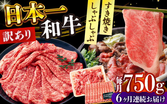 長崎和牛 和牛 国産 牛肉