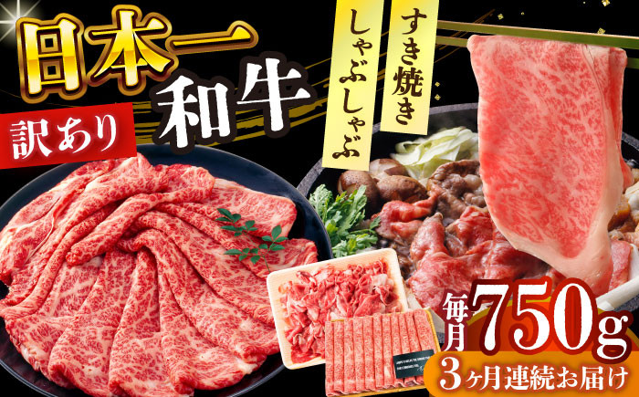 長崎和牛 和牛 国産 牛肉