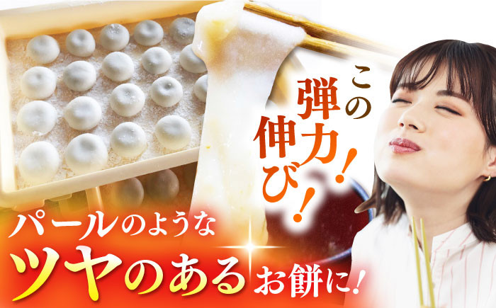 【パールのように輝くお餅】令和7年産 ももちゃんちのお米 ヒヨクモチ 精米 5kg【ももさき農産】 [HCG008]