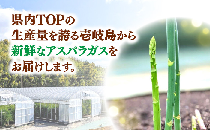 野菜 アスパラ Lサイズ 新鮮 美味しい おいしい 食べ応え