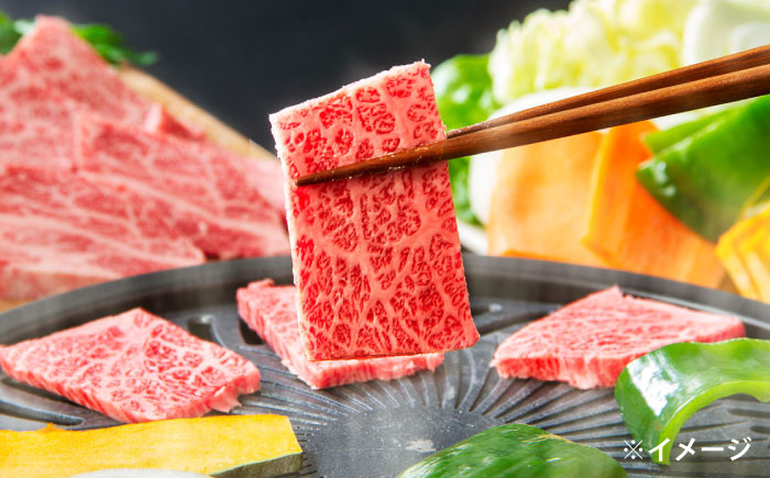 しまね和牛 牛肉 肉 焼肉 黒毛和牛 国産牛 冷凍 ギフト 焼き肉 セット