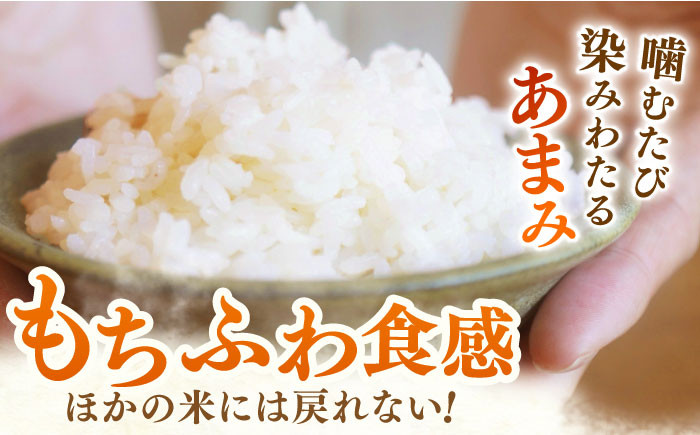 【真空パックの小分け】ももちゃんちの美白米 ギフト用（さがびより・夢しずく）3合×6個 白米