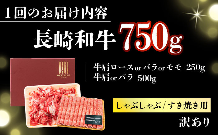 長崎和牛 和牛 国産 牛肉