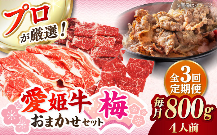  牛肉 希少な国産ブランド牛！「愛姫牛」店主におまかせ