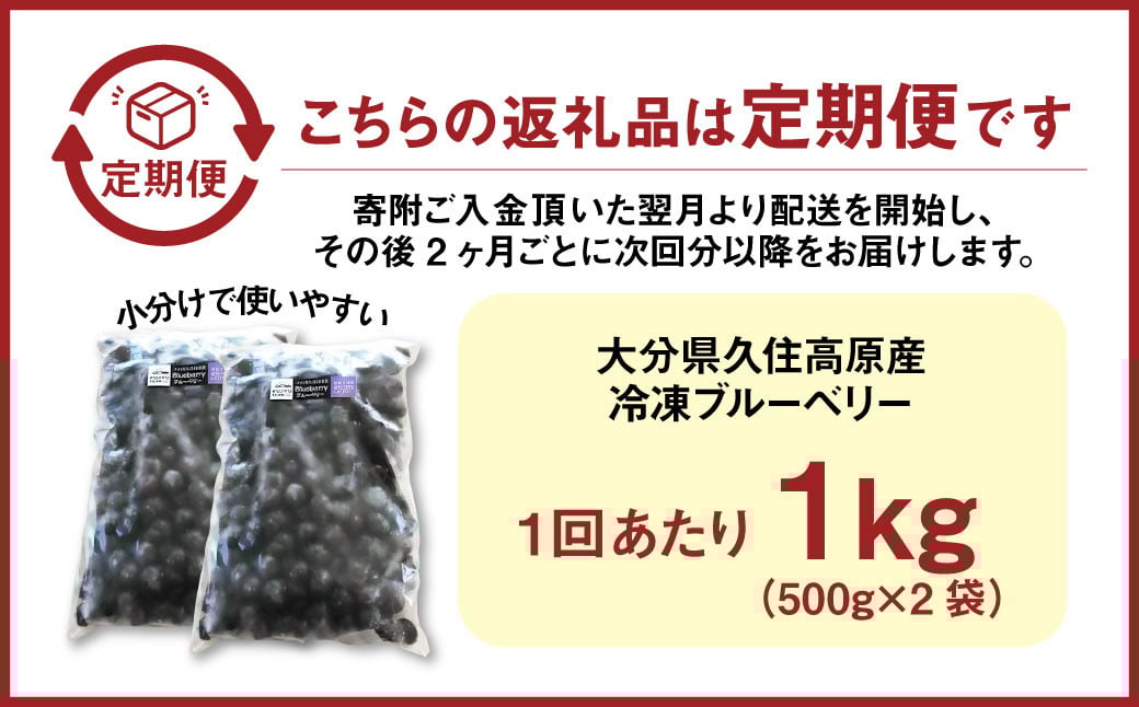 【2ヶ月毎3回 定期便】久住高原 手摘み ブルーベリー 冷凍 500g 2袋 小分け 栽培期間中農薬不使用
