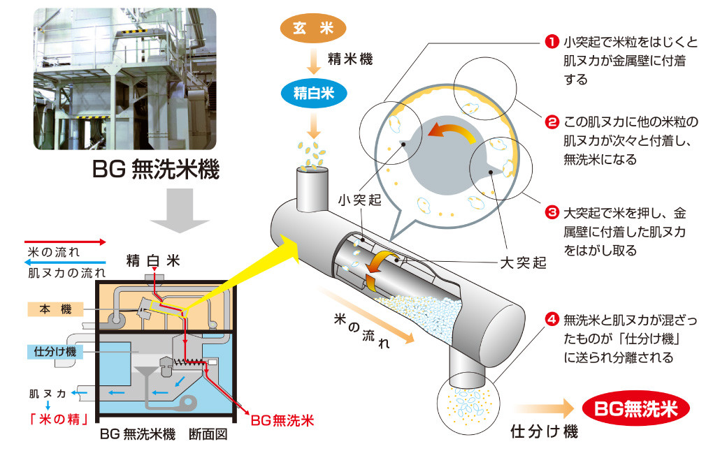 子育て応援米 奈義町産米 BG無洗米 （ きぬむすめ ） 5kg
