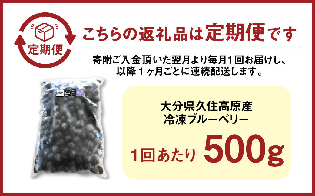【6回 定期便】久住高原 冷凍 ブルーベリー 500g 栽培期間中農薬不使用 手摘み