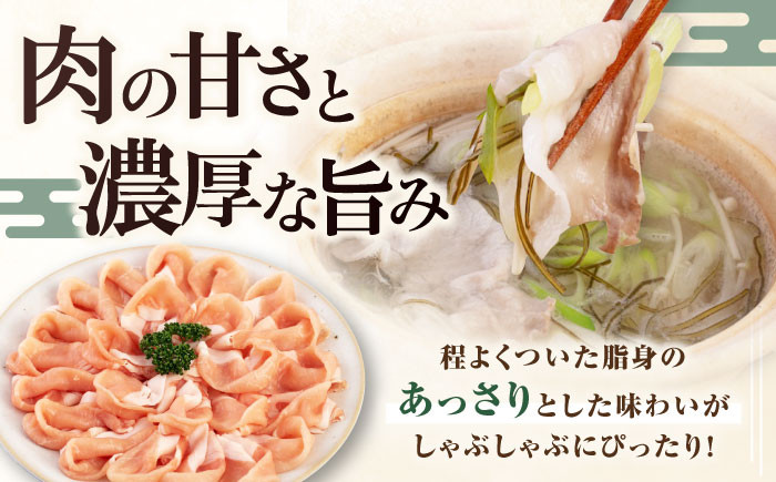 肉 豚肉 ロース ロース肉 セット しゃぶしゃぶ 鍋 お鍋 冷凍配送