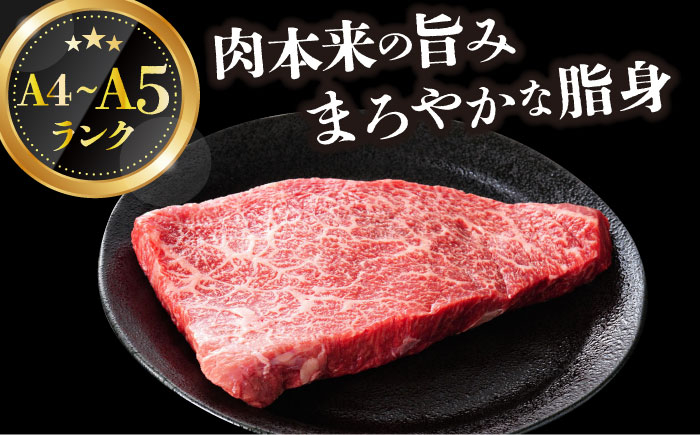 長崎和牛 和牛 国産 牛肉
