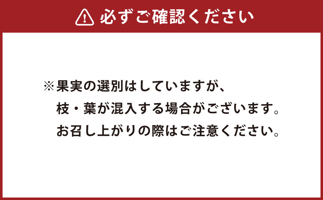 【2ヶ月毎6回 定期便】久住高原 手摘みブルーベリー 冷凍 500g 2袋 小分け 栽培期間中農薬不使用