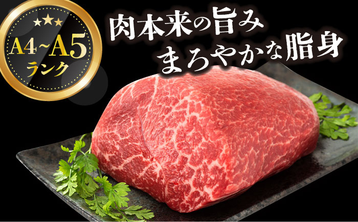 長崎和牛 和牛 国産 牛肉 