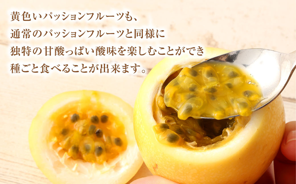 徳之島 天城町産 【家庭用】 イエローパッションフルーツ 約2kg(サイズ混合)
