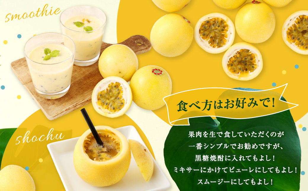 徳之島 天城町産 【家庭用】 イエローパッションフルーツ 約2kg(サイズ混合)