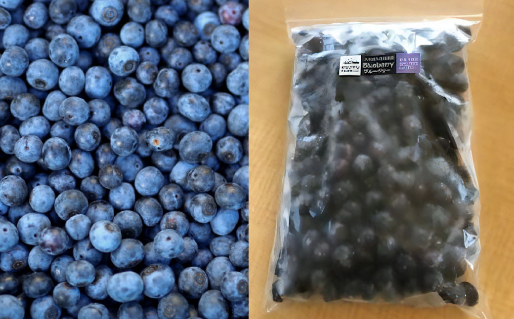 久住高原 手摘み ブルーベリー 冷凍