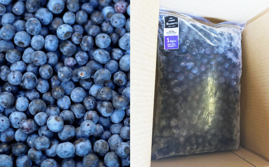 大分県久住高原産 『手摘みブルーベリー』 冷凍ブルーベリー