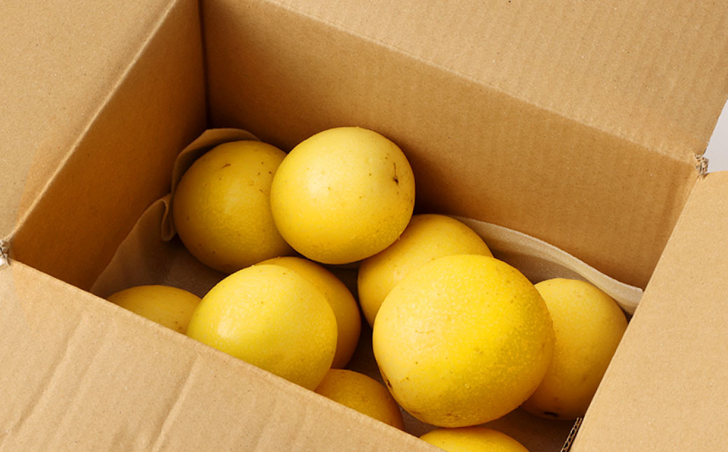 徳之島 天城町産 【家庭用】 イエローパッションフルーツ 約2kg(サイズ混合)