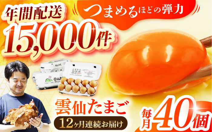12回 定期便 たまご 卵 玉子 タマゴ 鶏卵 オムレツ 卵かけご飯 朝食 料理 人気 卵焼き 定期便 12ヶ月 12か月