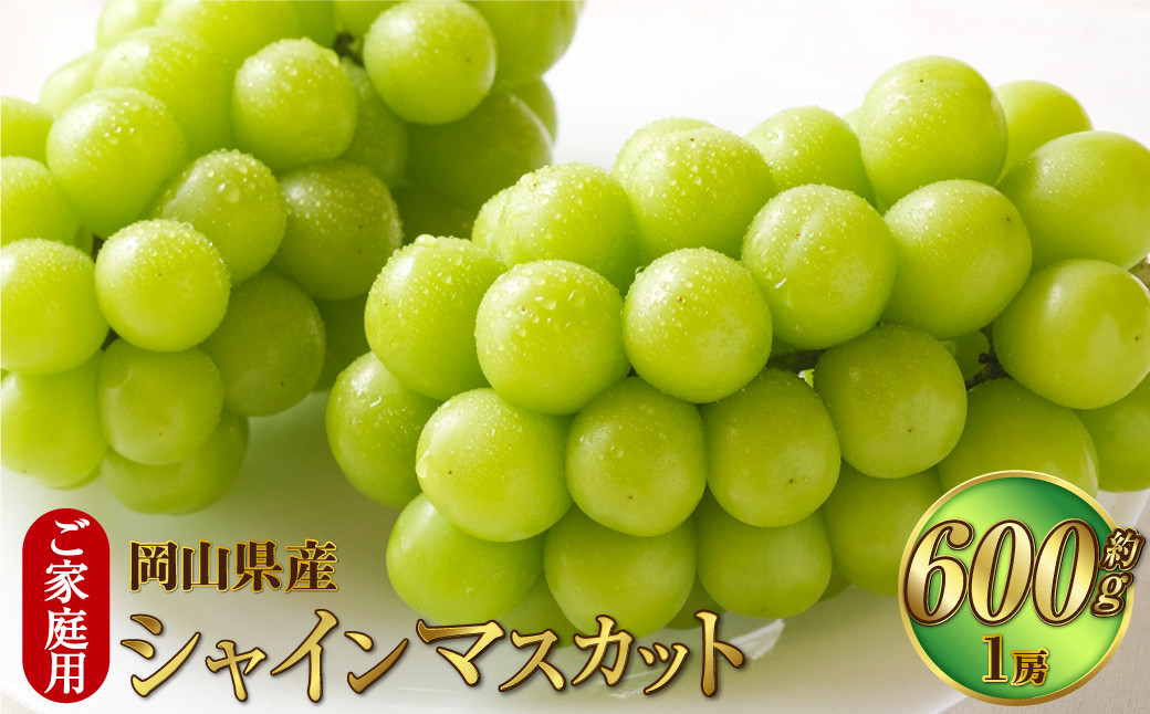 ご家庭用 岡山県産 シャインマスカット 晴王 約600g(600g×1房)