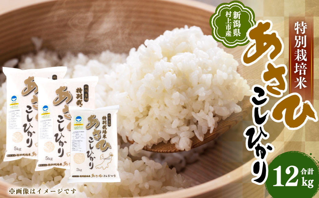 新潟県村上市産 特別栽培米 コシヒカリ 12kg