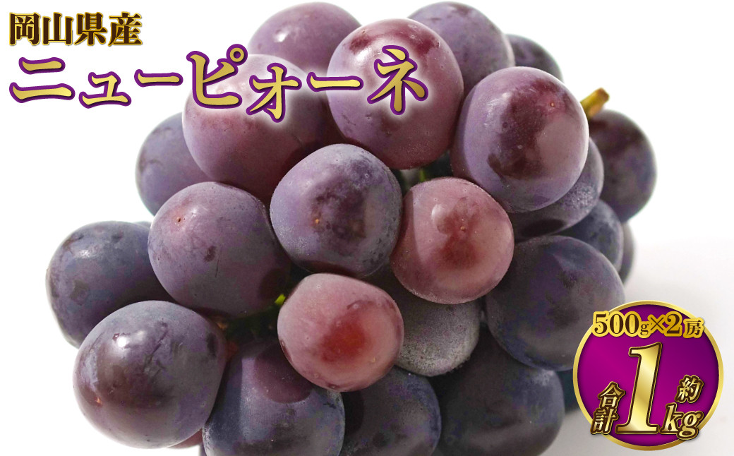 岡山県産 ニューピオーネ 約1kg（500g×2房）
