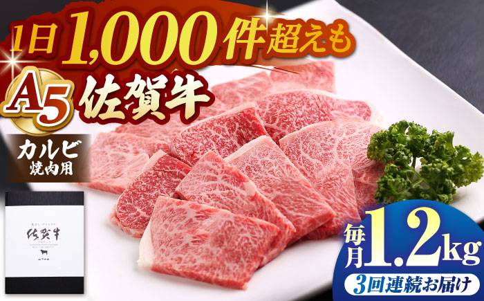佐賀牛 カルビ 400g 牛肉 定期便 焼肉 A5 黒毛和牛 佐賀 ギフト キャンプ BBQ 3回 3ヶ月 定期 a5