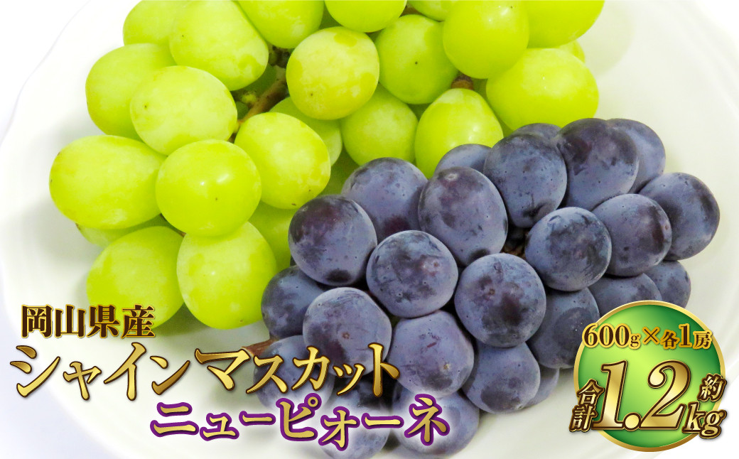 岡山県産 シャインマスカット「晴王」とニューピオーネ 3Lサイズ 計約1.2kg