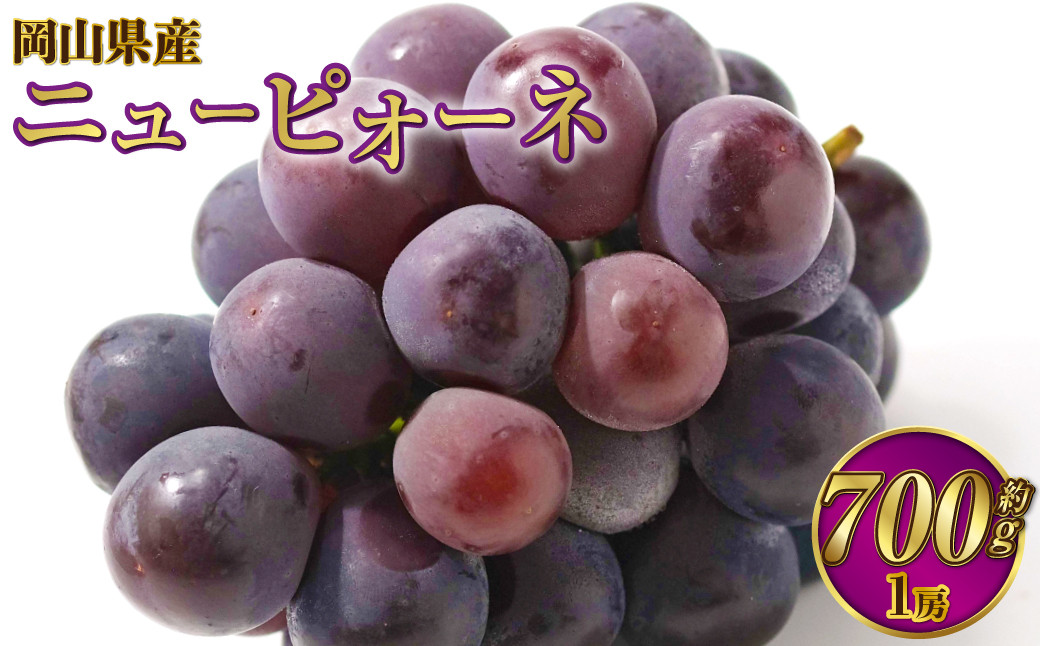 岡山県産 ニューピオーネ 約700g（700g×1房）