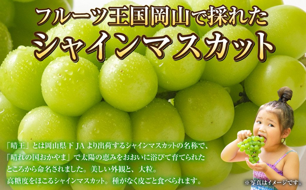 岡山県産 シャインマスカット 晴王 約800g(400g×2房)