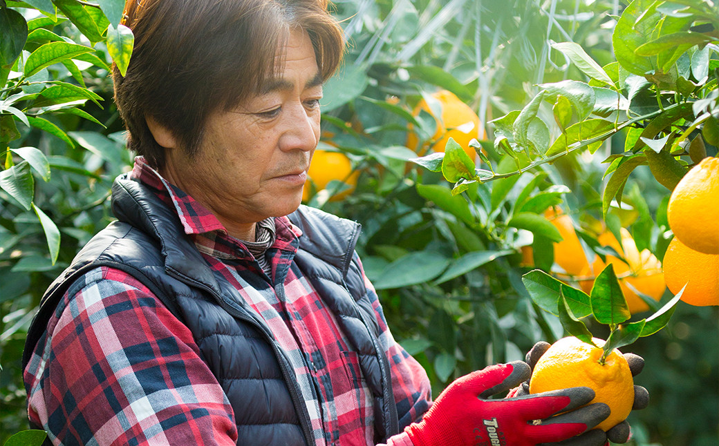 熊本産 おにつか農園 こだわり 不知火