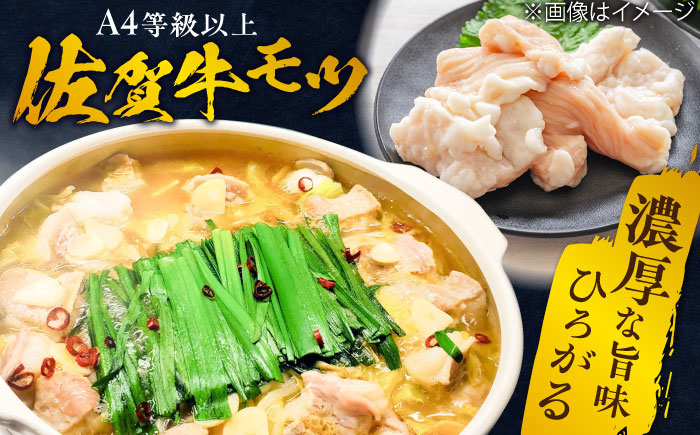 佐賀 佐賀牛 もつ鍋 ホルモン 鍋 モツ もつ