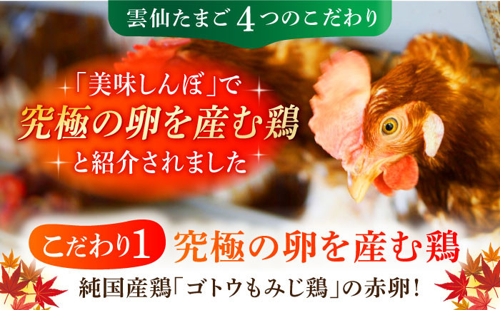 12回 定期便 たまご 卵 玉子 タマゴ 鶏卵 オムレツ 卵かけご飯 朝食 料理 人気 卵焼き 定期便 12ヶ月 12か月