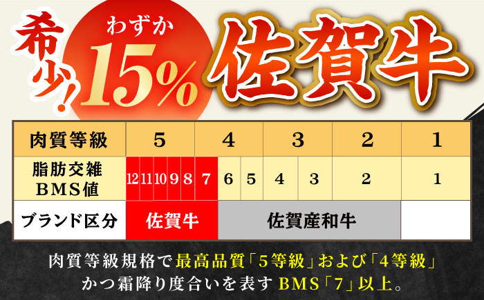 佐賀牛 プレミアム焼肉盛り合わせ 900g ( 300g×3種 ) 【田中畜産牛肉店】 [HBH024] / 佐賀牛 黒毛和牛