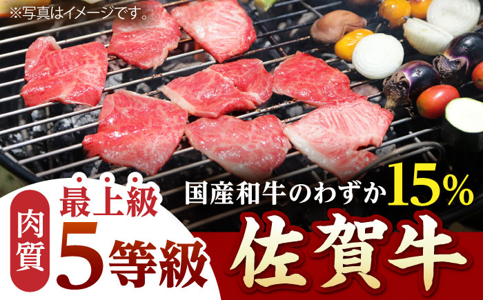 【全3回定期便】佐賀牛 赤身 ( モモ ) 400g ( 焼肉用 ) 【山下牛舎】 [HAD095] 佐賀牛 牛肉 肉 赤身