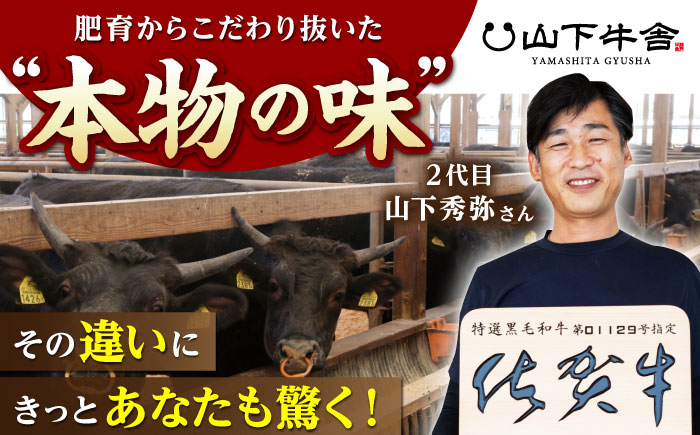 佐賀牛 カルビ 400g 牛肉 定期便 焼肉 A5 黒毛和牛 佐賀 ギフト キャンプ BBQ 3回 3ヶ月 定期 a5