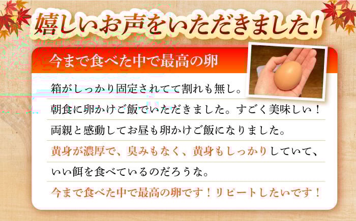 12回 定期便 たまご 卵 玉子 タマゴ 鶏卵 オムレツ 卵かけご飯 朝食 料理 人気 卵焼き 定期便 12ヶ月 12か月
