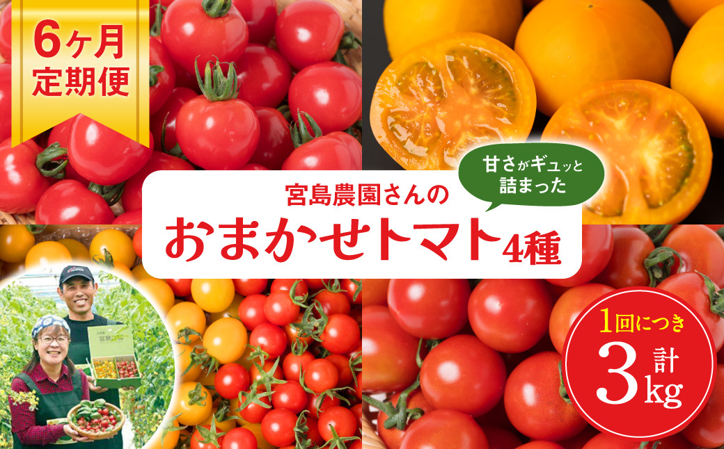 宮島農園が選ぶその時一番状態のいいトマト詰め合わせをお届けします。