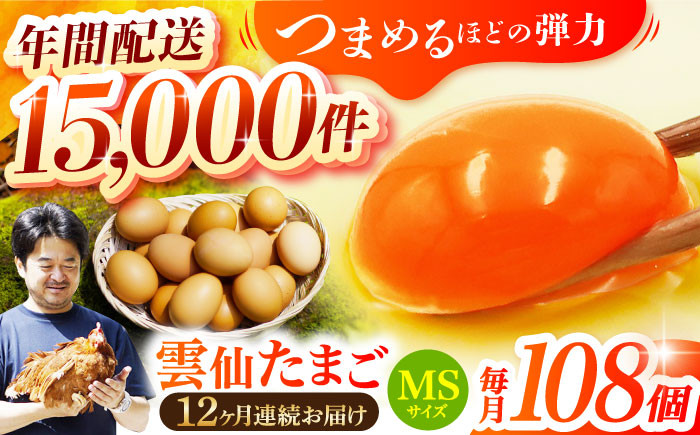 長崎県産 島原市 たまご 卵 玉子 タマゴ 鶏卵 朝食 料理 人気 卵焼き 定期便 12ヶ月 12か月  大容量 100個