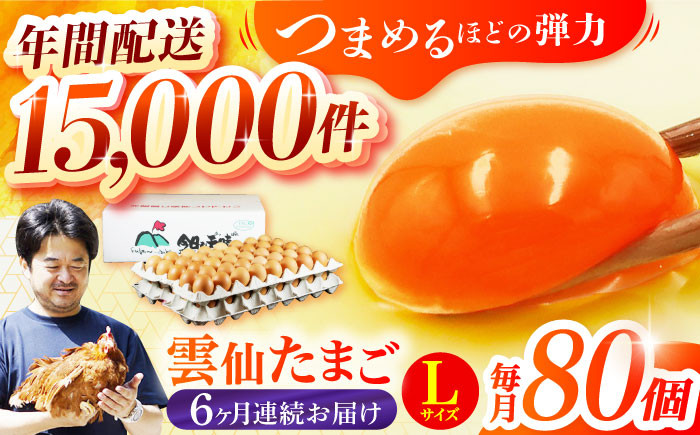 長崎県産 島原市 たまご 卵 玉子 タマゴ 鶏卵 オムレツ 卵かけご飯 朝食 料理 人気 卵焼き 定期便 6ヶ月 6か月