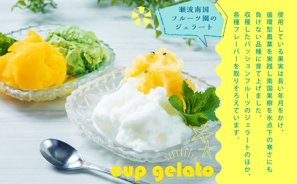 【瀬波南国フルーツ園】カップジェラートよりどりBOX(80g×10個入り)